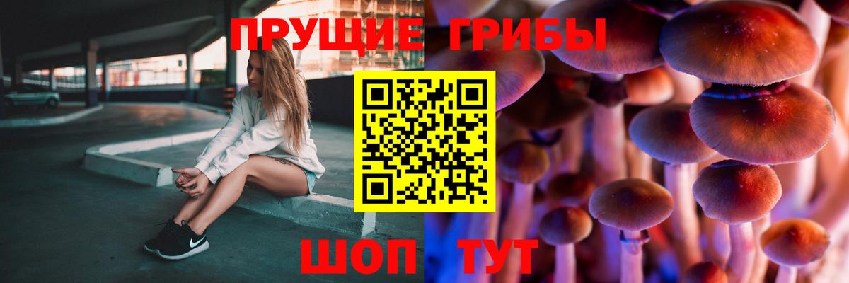Галлюциногенные грибы MAGIC MUSHROOMS  Вход с VPN  Кувандык 